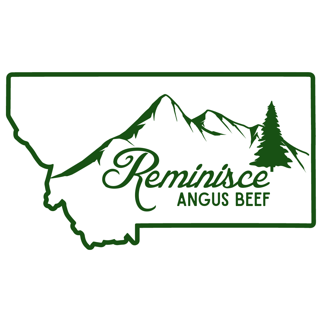 Beef Carbon Cycle – remangusbeef